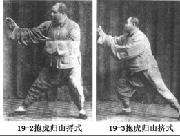 杨澄浦定型拳照